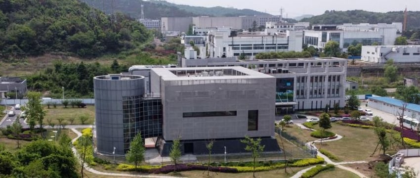 В США подтвердили лабораторное происхождение коронавируса