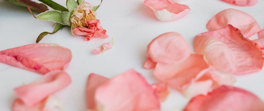 Житель Новополоцка заплатит 15 тысяч за угрозу жестоко наказать ребенка