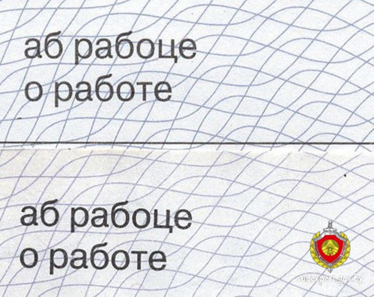 Жительница Гродно предоставила поддельную трудовую книжку по месту трудоустройства