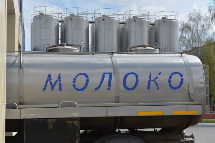 Фото носит иллюстративный характер / Sputnik (Виктор Толочко)