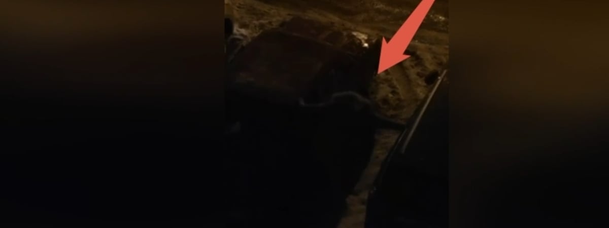 Минчанин снял на видео мужчину бывшего ногой по чужой машине. Сколько ущерба насчитали? — Видео