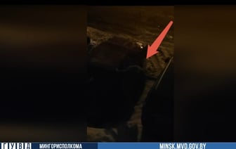 Минчанин снял на видео мужчину бывшего ногой по чужой машине. Сколько ущерба насчитали? — Видео