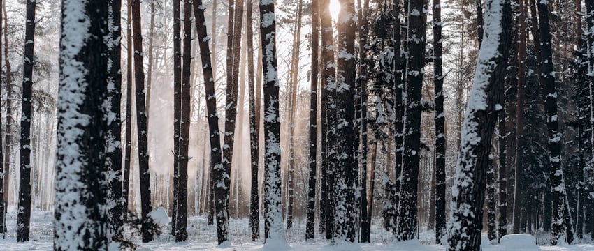 В Полоцке приглашают на День белорусской кухни в кафе «Раздолъ»