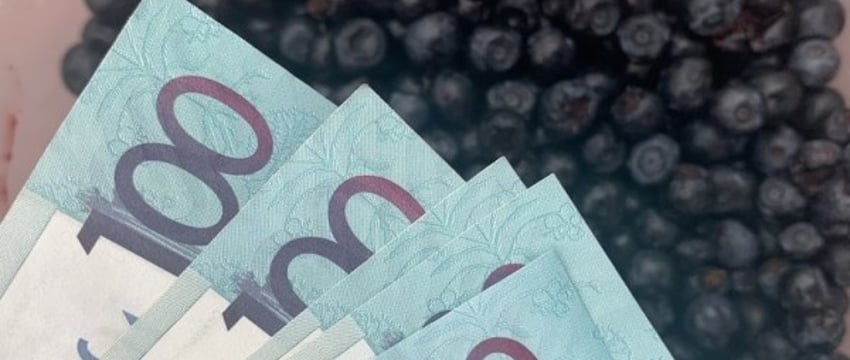 Узнали цены на чернику и лисички в заготовительных пунктах Белкоопсоюза