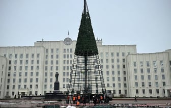 Процесс идет — в Могилеве устанавливают главную елку области