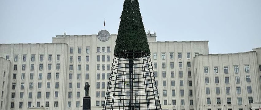 Процесс идет — в Могилеве устанавливают главную елку области