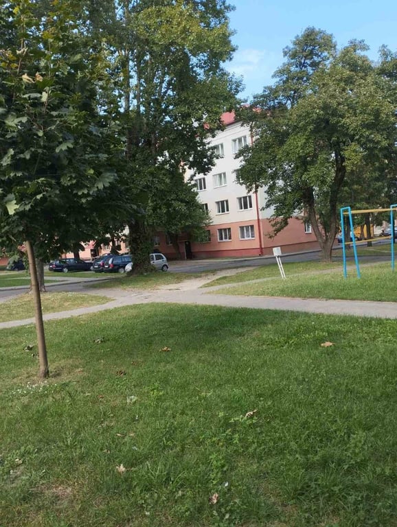 Молодые специалисты-медики показали свои комнаты общежитий в Бресте