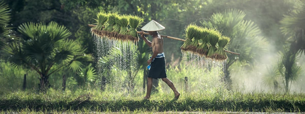 Зарубежным туристам в Китае упростят заселение в гостиницы