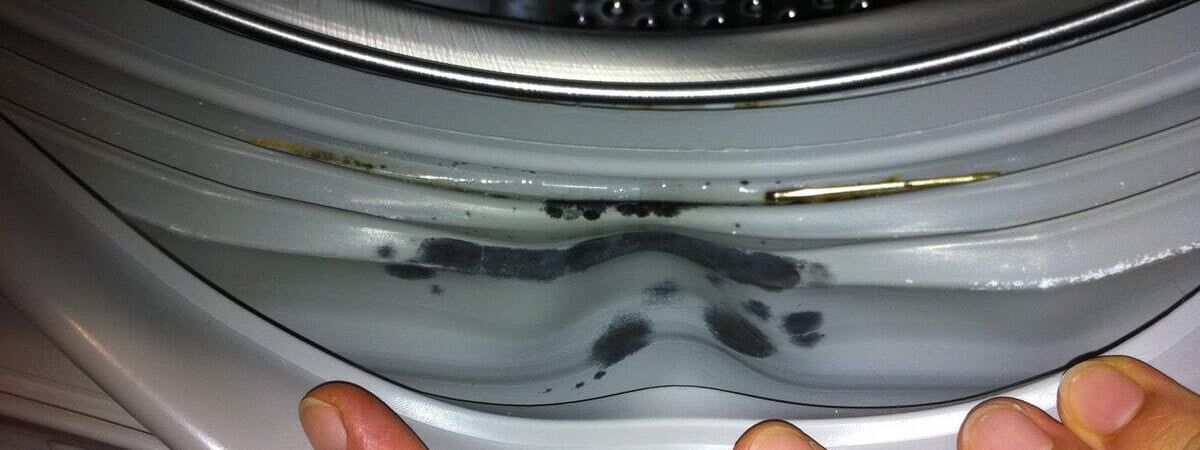 Почему в манжете стиральной машины скапливается вода? Мастер показал, как исправить проблему одним действием — Полезно