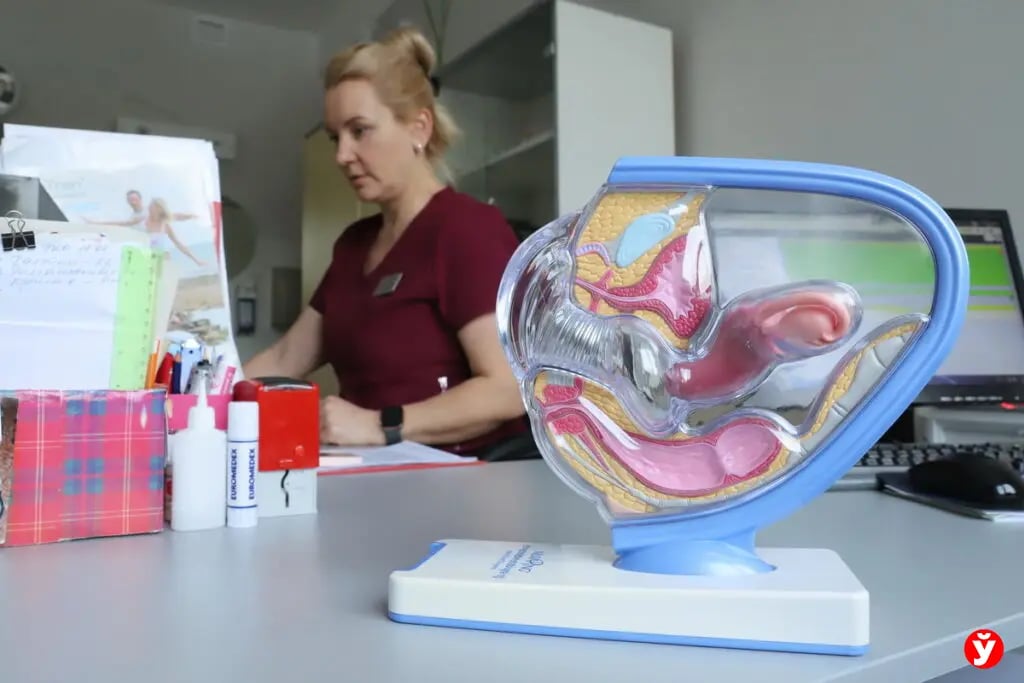 Если аист не спешит. Нюансы проведения бесплатного ЭКО в Беларуси