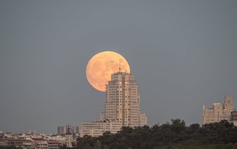 Украине нужно 25 систем Patriot для полного закрытия неба