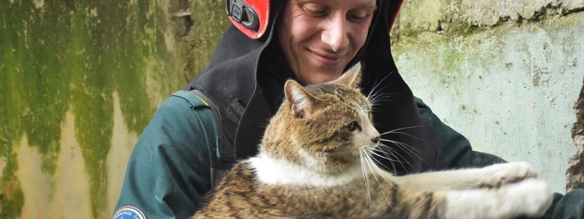 Белорусские спасатели показали, как достали застрявшего между бетонными плитами кота — Видео