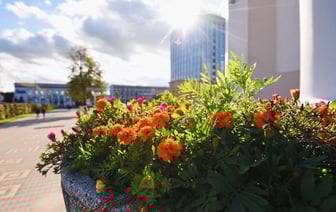 Выходные в Гомеле. Куда сходить 10-11 августа?