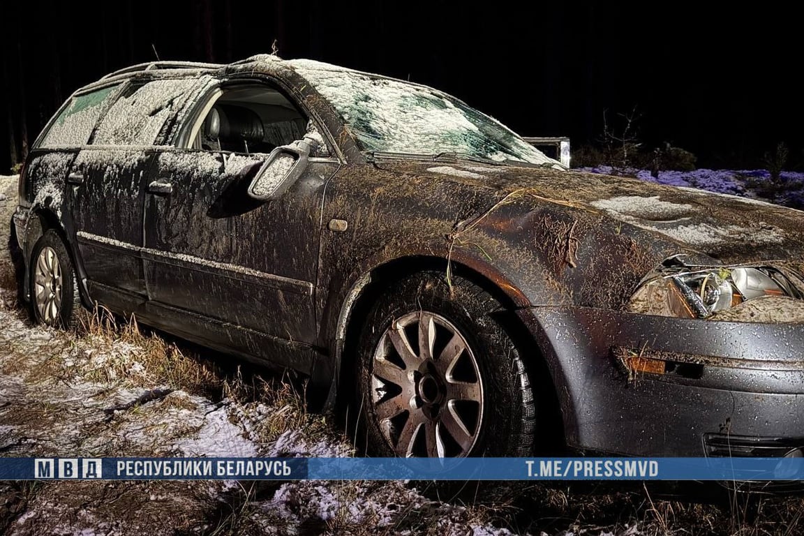 Маленькая девочка погибла в ДТП на автодороге М-8 «Витебск-Орша». Фото ГАИ