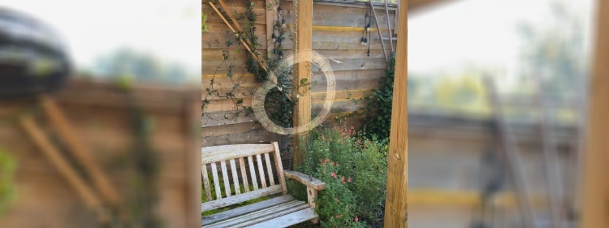 «Халявный декор на Хэллоуин» — Видео, как паук-«трудяга» плетет паутину собрало почти 1,5 млн просмотров TikTok — Видео