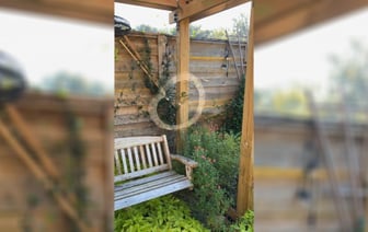 «Халявный декор на Хэллоуин» — Видео, как паук-«трудяга» плетет паутину собрало почти 1,5 млн просмотров TikTok — Видео