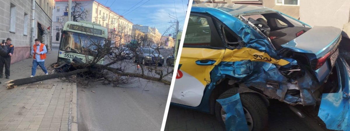 В Минске троллейбус врезался в дерево, а трамвай — в легковушку — Видео