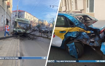 В Минске троллейбус врезался в дерево, а трамвай — в легковушку — Видео