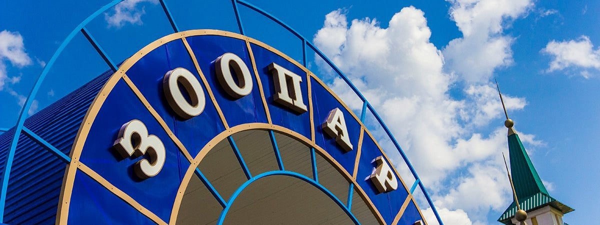 В зоопарке Гродно пополнение: в одном из вольеров поселились оленята