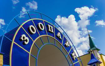 В зоопарке Гродно пополнение: в одном из вольеров поселились оленята