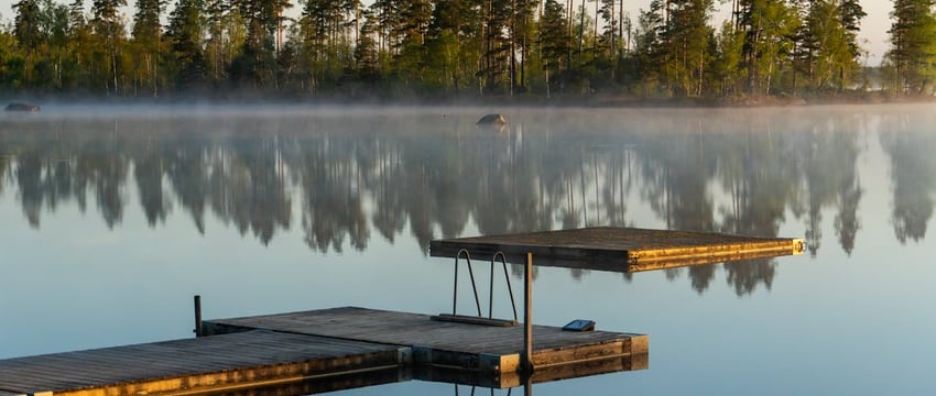 В Быховском районе на пожаре погибли два человека