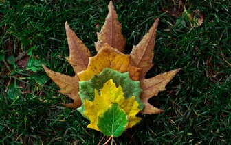 В Германии закрыли все консульства Ирана