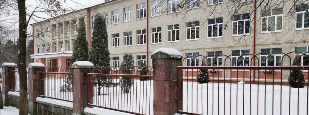 «Школьники были в шоке, когда задержать женщин пришли пятеро здоровых мужчин». В Лидском районе задержали завуча и секретаря школы