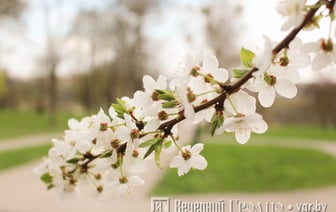 Мелодия весны — музыкант из Гродно сочинил вдохновляющую музыку с помощью нейросети