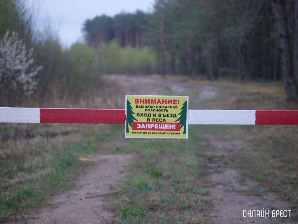 Фото носит иллюстративный характер