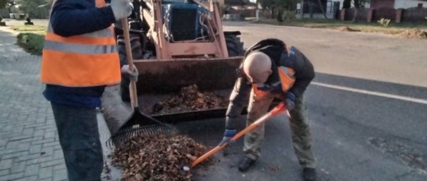 В Бресте полным ходом идёт уборка опавшей листвы и мусора с газонов