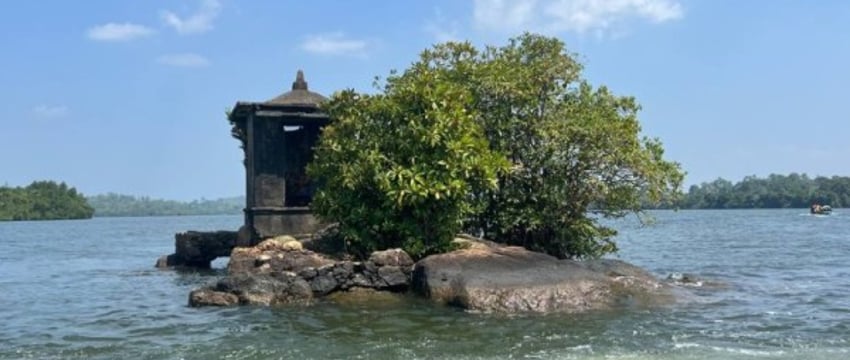 Belavia снова начала летать из Витебска – и вот куда