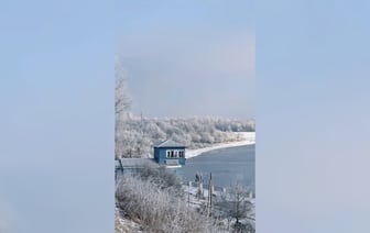 «Правда только на одно утро» — В TikTok показали, как выглядит «настоящая зима» в Гомеле — Видео