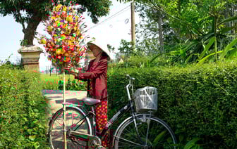 Чем подкормить туи в сентябре? Вот из каких отходов можно приготовить домашнее удобрение — Полезно