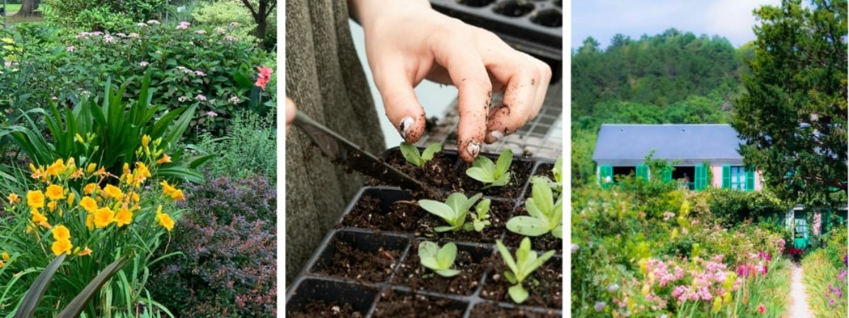 Какие цветы нужно успеть посадить белорусам в марте на рассаду и в грунт? Не пропустите эти даты — Полезно