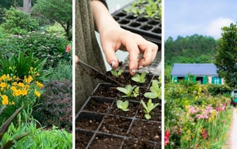 Какие цветы нужно успеть посадить белорусам в марте на рассаду и в грунт? Не пропустите эти даты — Полезно