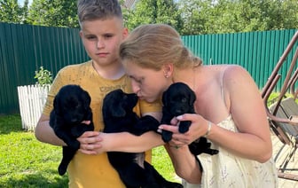 Бывшая завмаг разводит собак редкой породы. Зачем ей это?