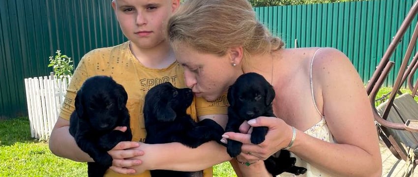 Бывшая завмаг разводит собак редкой породы. Зачем ей это?