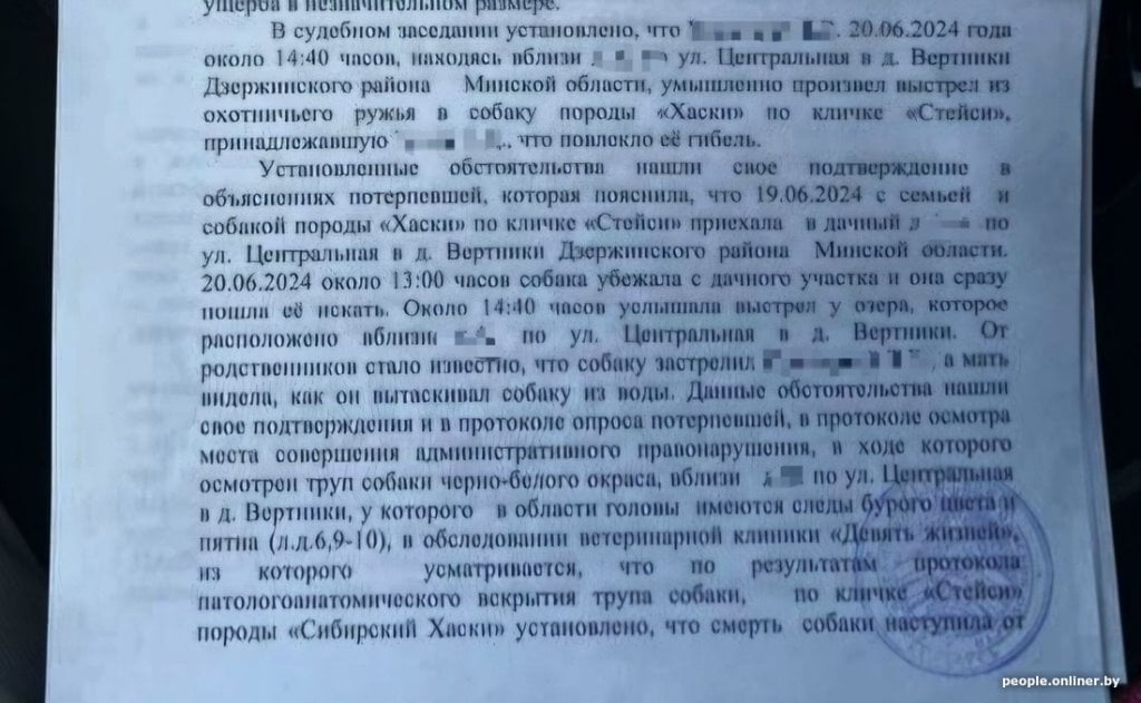 «Зарядил ружье первым попавшимся патроном». Узнали, чем закончилась история с застреленной хаски