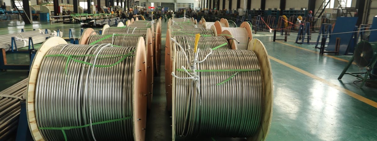 ПАСЕ одобрила санкции в отношении Грузии и потребовала инициировать досрочные выборы