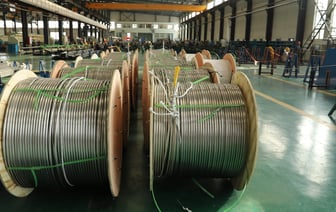 ПАСЕ одобрила санкции в отношении Грузии и потребовала инициировать досрочные выборы