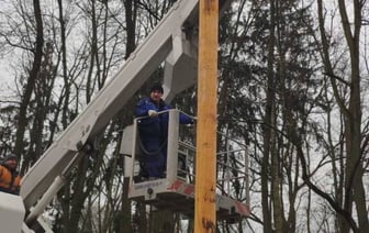 В Бресте установили новый масленичный столб