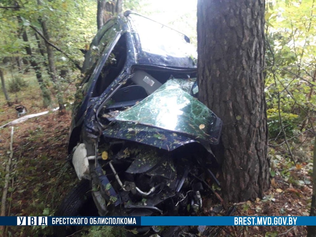 В Ляховичском районе автомобиль врезался в дерево, водитель погиб на месте