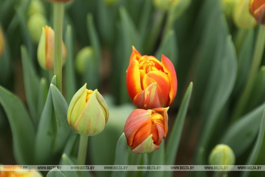 Фото