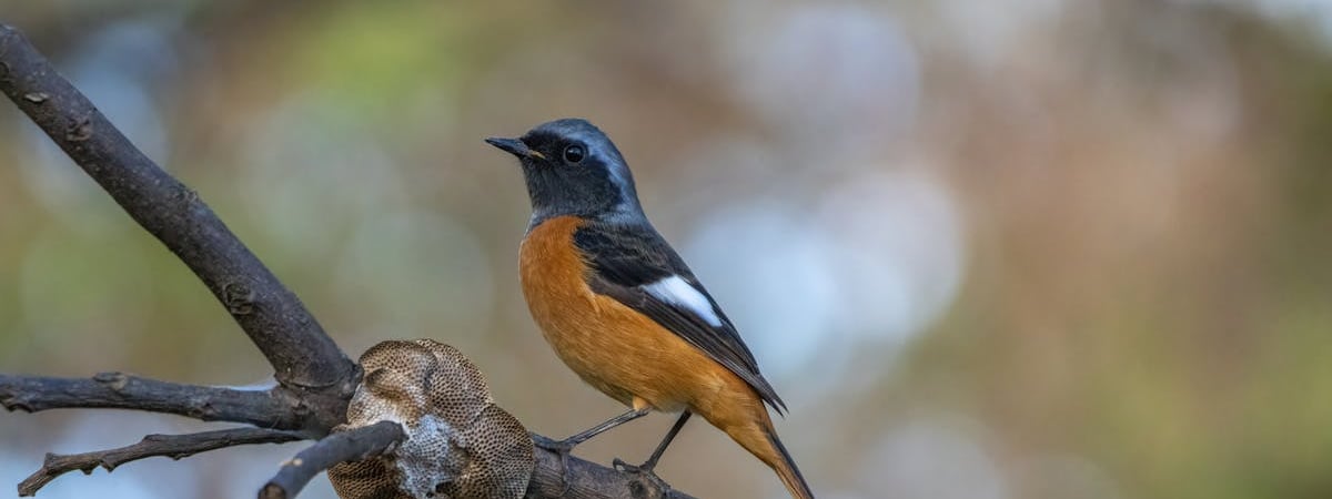 Тайвань запретил всем государственным учреждениям использовать DeepSeek