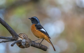 Тайвань запретил всем государственным учреждениям использовать DeepSeek