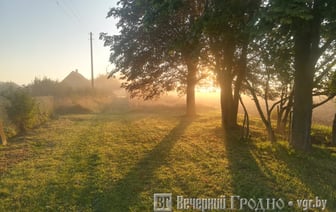 Лето возвращается — погода в Гродно на неделю