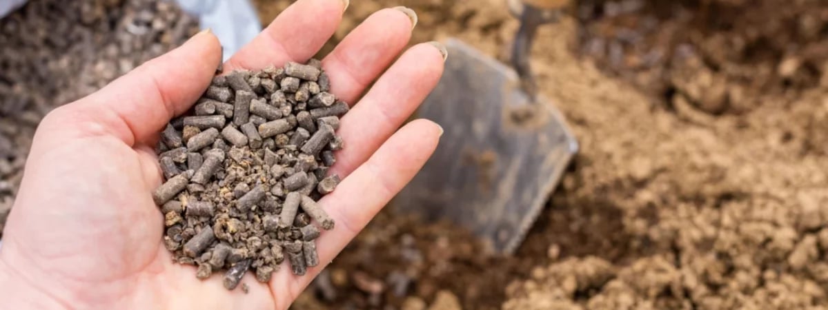 Как правильно использовать гранулированный навоз на огороде осенью? Эти 2 ошибки убьют всю пользу — Полезно