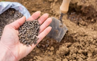 Как правильно использовать гранулированный навоз на огороде осенью? Эти 2 ошибки убьют всю пользу — Полезно