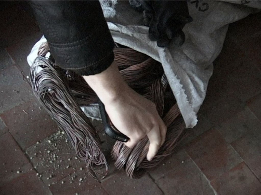 Фото из открытых источников (иллюстративное)