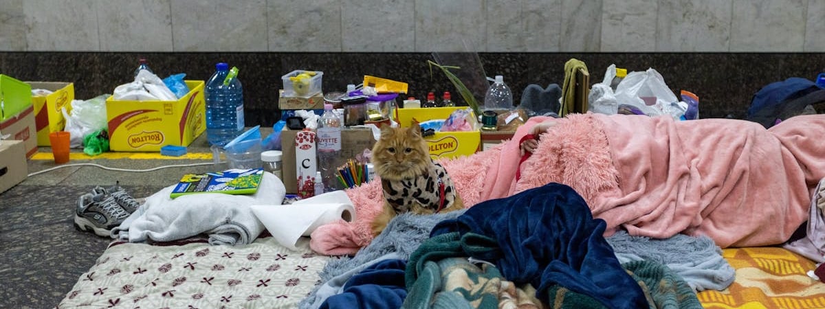 В ЕЭК подсчитали, сколько мяса, молочной продукции и яиц съели в странах ЕАЭС